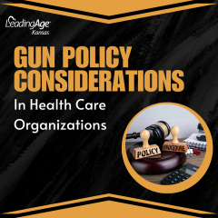 Gun Policy Considerations for Health Care Organizations